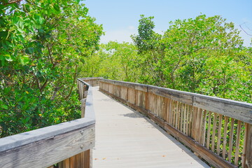 St. Petersburg, Forida, USA 06 29 2025: The landscape of Weedon Island Preserve Cultural and Natural History Center
