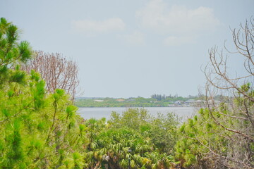 St. Petersburg, Forida, USA 06 29 2025: The landscape of Weedon Island Preserve Cultural and Natural History Center