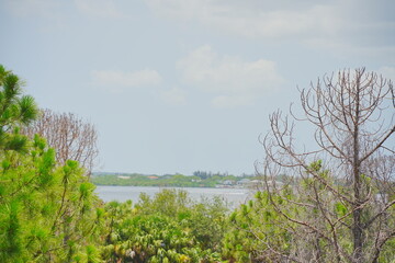 St. Petersburg, Forida, USA 06 29 2025: The landscape of Weedon Island Preserve Cultural and Natural History Center