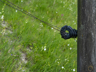 Close-up of an electric fence wire attached to a wooden post with a black ceramic insulator. Rural...