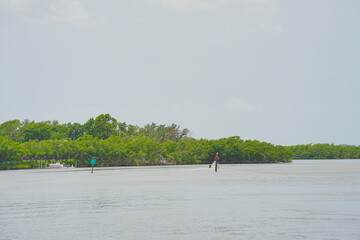 St. Petersburg, Forida, USA 06 29 2025: The landscape of Weedon Island Preserve Cultural and Natural History Center