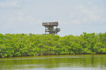 St. Petersburg, Forida, USA 06 29 2025: The landscape of Weedon Island Preserve Cultural and Natural History Center