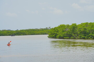 St. Petersburg, Forida, USA 06 29 2025: The landscape of Weedon Island Preserve Cultural and Natural History Center