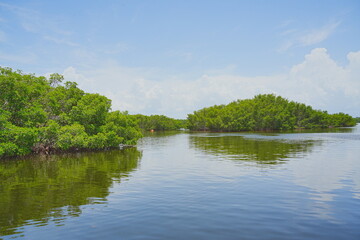 St. Petersburg, Forida, USA 06 29 2025: The landscape of Weedon Island Preserve Cultural and Natural History Center