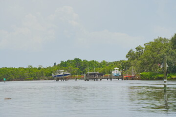 Fototapeta premium St. Petersburg, Forida, USA 06 29 2025: The landscape of Weedon Island Preserve Cultural and Natural History Center