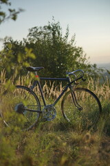 bicycle in the field