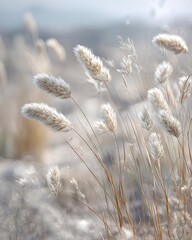 Fototapeta premium Soft golden wild grasses and reeds swaying in a bright sunlit field