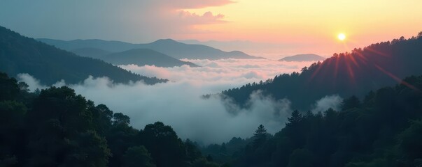 Muted forest landscape with dense fog rolling in, revealing a mysterious atmosphere at dawn , dawn, atmosphere