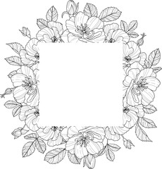 hand drawing floral frame illustration element