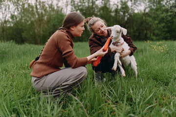 Fototapeta premium middle aged woman feeding goat with carrot outdoors, active healthy lifestyle, wellbeing, community wellness in lush green field
