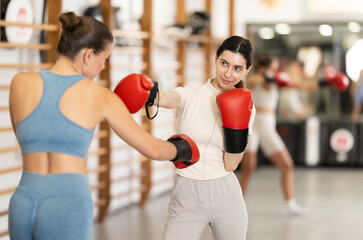 Diligent female practitioner of boxing courses training with partner during workout session