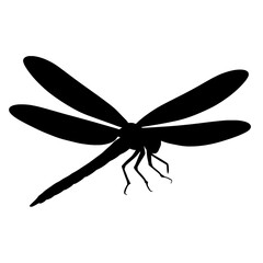 Silhouette of Meganeura with Outstretched Wings on White Background