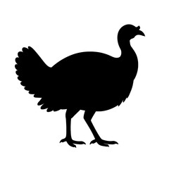 Silhouette of a Majestic Ocellated Turkey with Feather Details