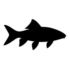 Fototapeta premium Silhouette of a Rainbow Shark Against a Clean White Background