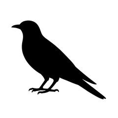 Fototapeta premium Silhouette of a Cuckoo Bird in Profile with Clean Edges