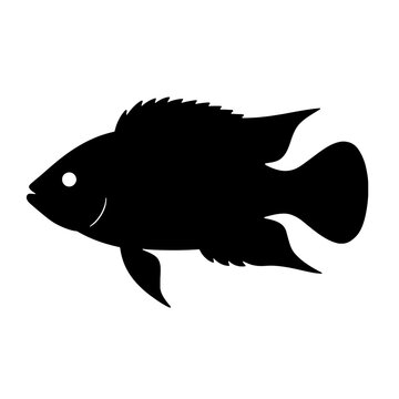 Bold Black Silhouette of a Rainbow Krib Cichlid Fish