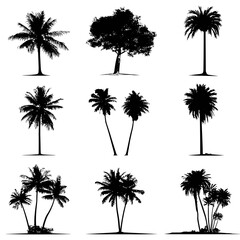 Vector illustration of black palm tree silhouettes on transparent background, clip art style, PNG format.