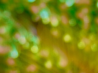 green and blurred background of vegetation on a mana&ntilde;a, with bokeh effect