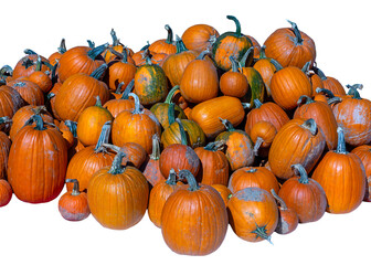 Pile of pumpkins isolated
