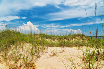 Natural Shoreline Escape. Remote beach with blue sky and windblown grass