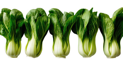 Five fresh bok choy on a white isolated background.
