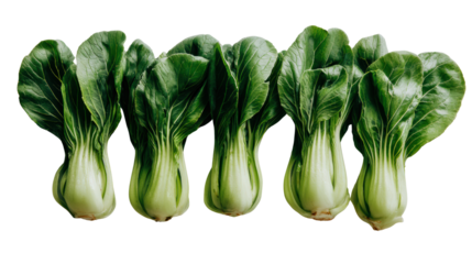 Fresh bok choy arranged in a row, showcasing vibrant green leaves on white isolate background.
