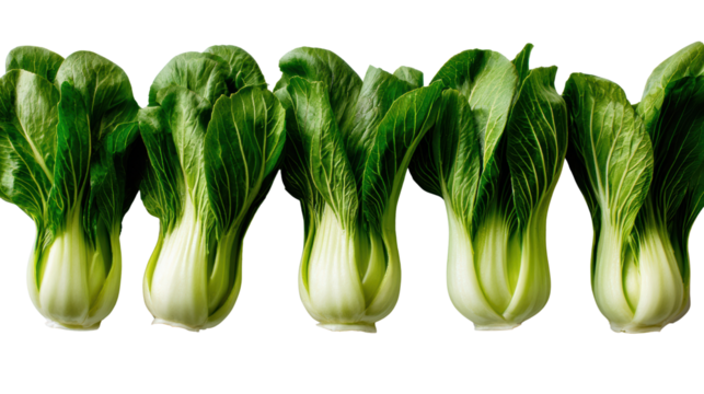 Five fresh bok choy on a white isolated background.