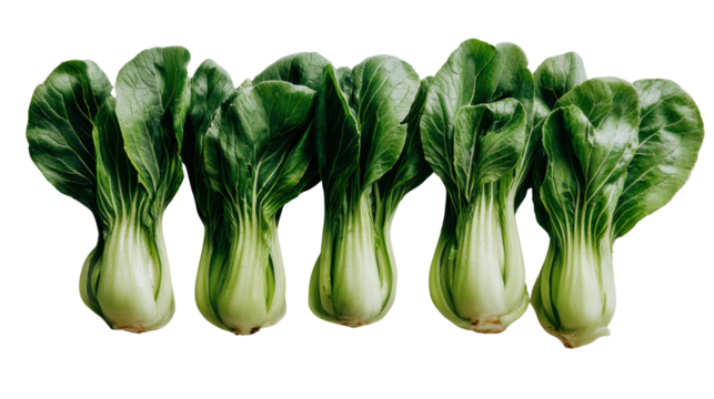 Fresh bok choy arranged in a row, showcasing vibrant green leaves on white isolate background.