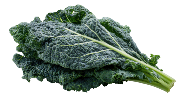 Fresh kale leaf on a white isolated background, showcasing its rich texture and vibrant green color.