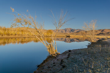 Serene landscape featuring bare trees reflecting in calm water, surrounded by golden grass and...