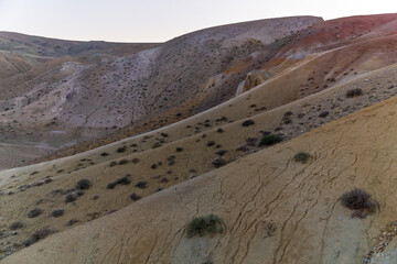 Expansive desert landscape showcasing rolling hills and textured earth, dotted with sparse...