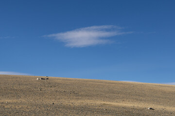 Vast arid landscape under a clear blue sky, featuring gentle rolling hills and sparse vegetation,...
