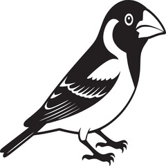 A black and white illustration of a small bird standing on its feet with a white background behind it