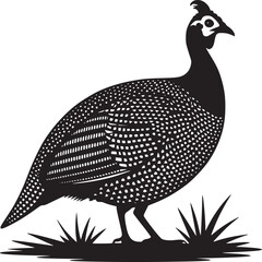 A black and white illustration of a guinea fowl standing on some grass in a simple design style