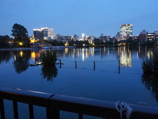 夕暮れの不忍池