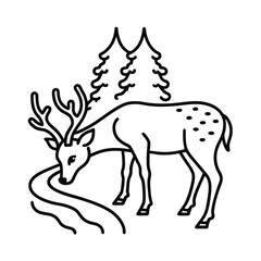 Deer drinking quietly from forest stream with reflection Vector illustration