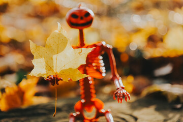 Skeleton with maple yellow leaf in hand on autumn sunny forest background. Halloween background. 