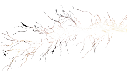 Lightning bolt isolated with transparent background

