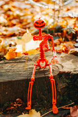 Pumpkin Skeleton Decoration on Tree Trunk in Autumn.Skeleton with maple yellow leaf in hand. 