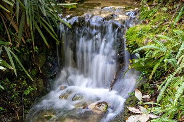 waterfall in the forest