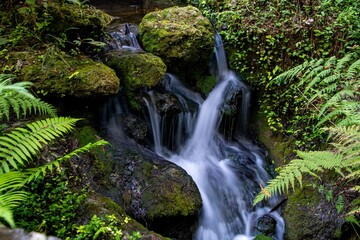 waterfall in the forest