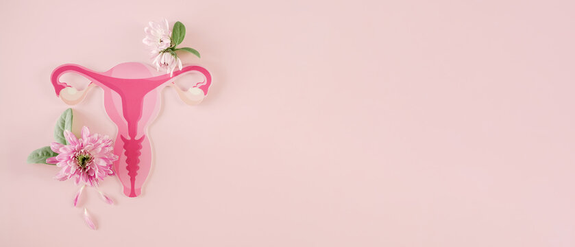 uterus and pink flowers, vagina, woman health, PCOS, menopause, cervix cancer concept