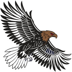 Eagle vector illustration