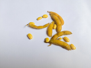 yellow soybean and their pods on white background. 