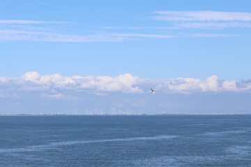 Wind turbines dotting the horizon against a backdrop of blue skies and calm waters in a coastal...