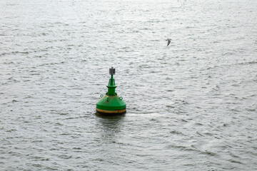 Bright green navigational buoy floating on calm water with a distant seagull in the background
