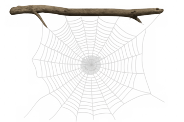 Intricate spider web hanging from a weathered branch, isolated on a transparent background, perfect for halloween or nature-themed projects