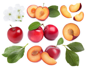 Yummy ripe plums, blossoms and green leaves on white background, collage