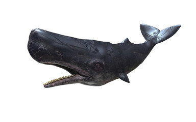 3d Illustration of A Graceful sperm whale glides through deep ocean, surrounded by mystery and silent marine beauty.