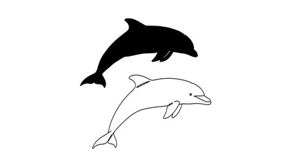 Fototapeta premium Dolphin Black Silhouette and Outline Vector Graphics
